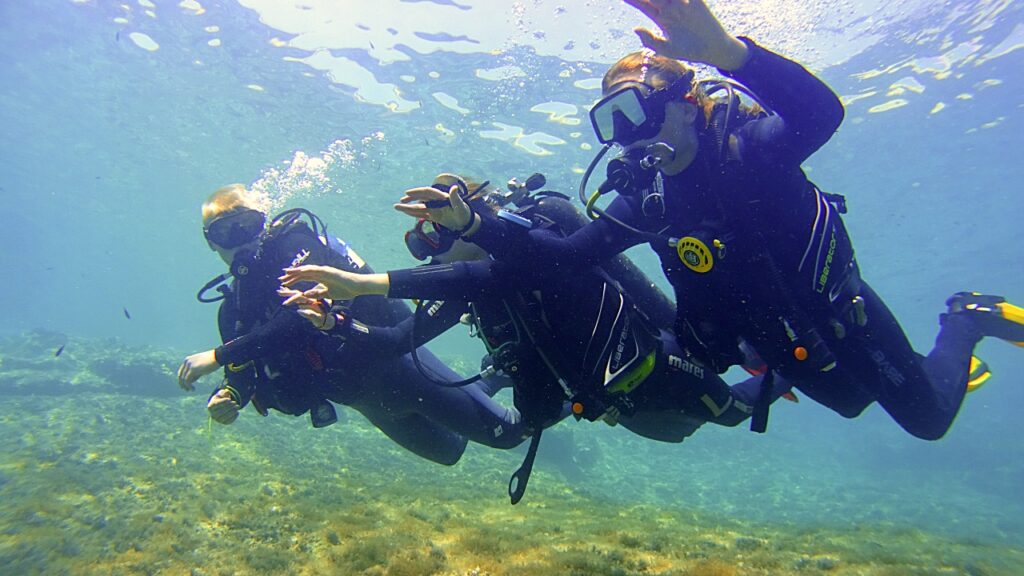 Kurs płetwonurka na wyspie Gozo 34 Gozo | Kurs płetwonurka na wyspie Gozo