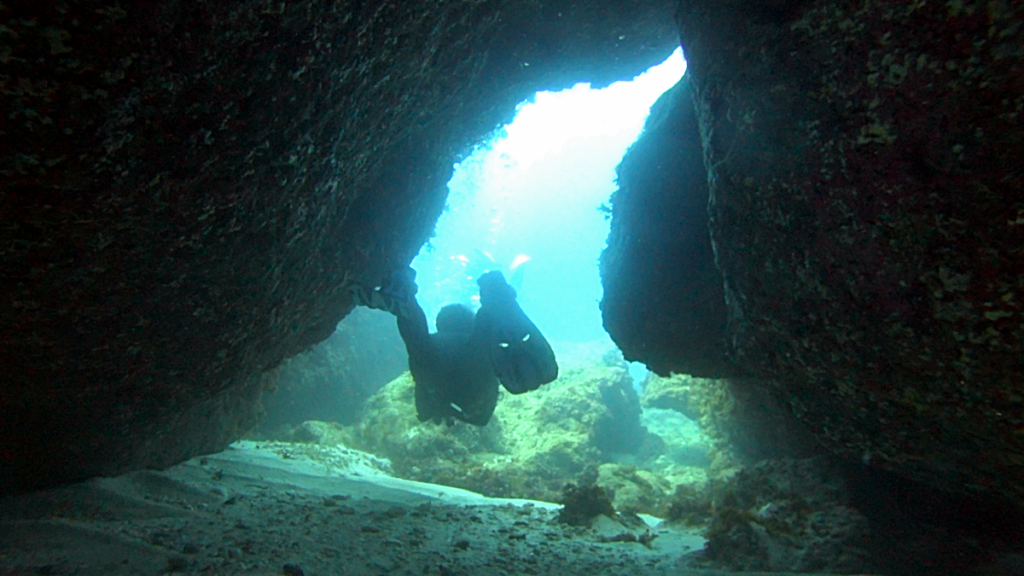 Malta | Malta 2-9.11.2021