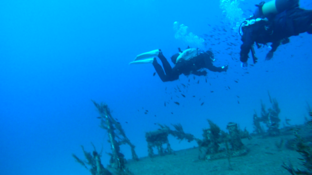 Malta | Malta 2-9.11.2021