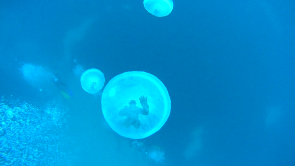 Malta | Malta 2-9.11.2021