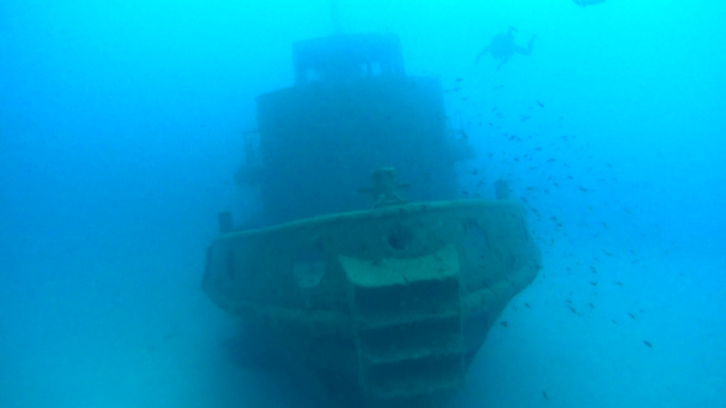 Malta | Malta 2-9.11.2021