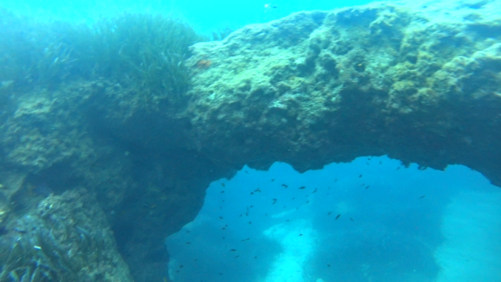 Malta | Malta 2-9.11.2021