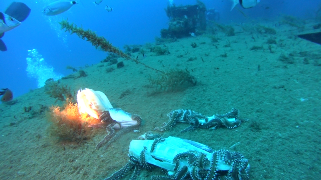 Malta | Malta 2-9.11.2021