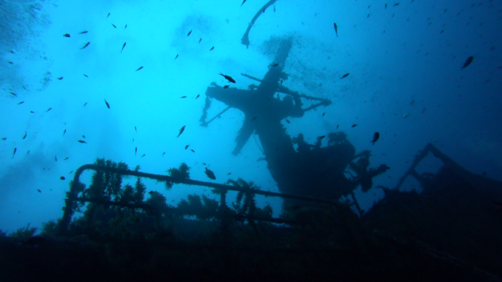 Malta | Malta 2-9.11.2021