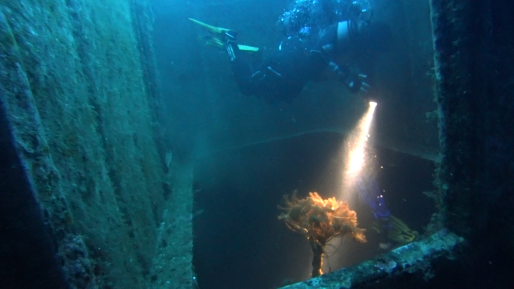 Malta | Malta 2-9.11.2021