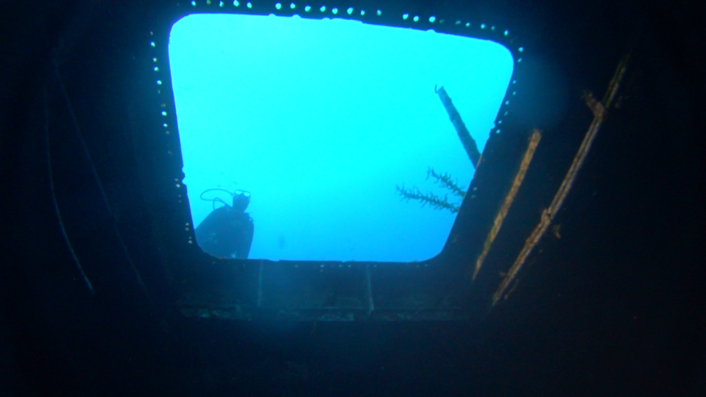 Malta | Malta 2-9.11.2021