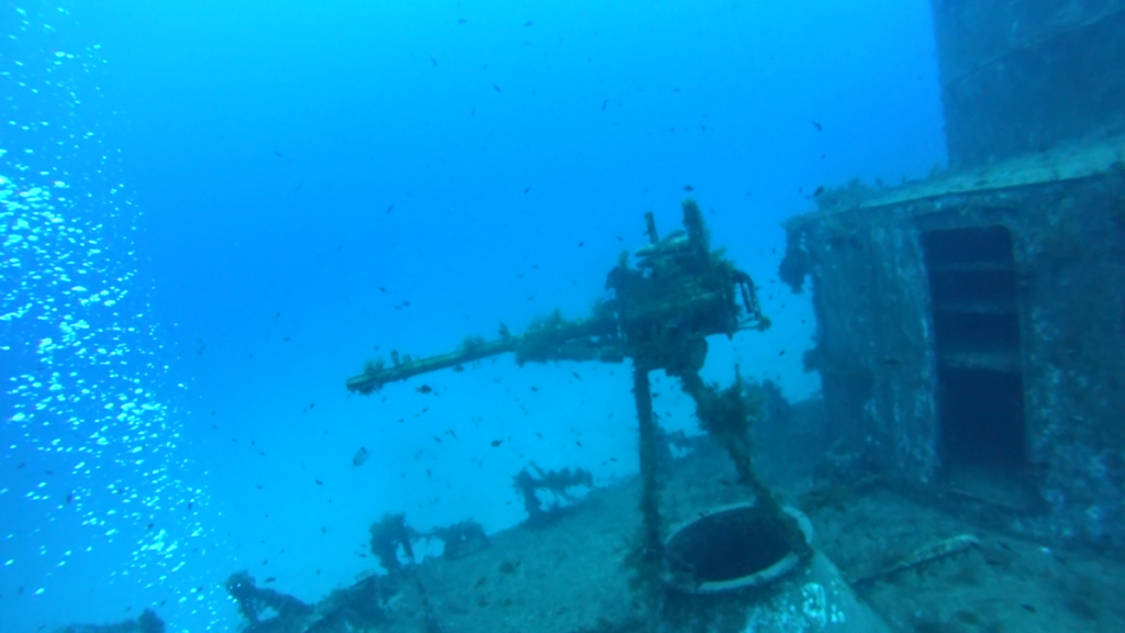 Malta | Malta 2-9.11.2021