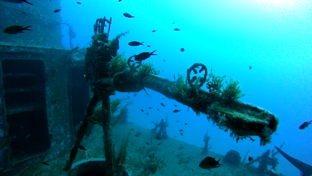 Malta | Malta 2-9.11.2021