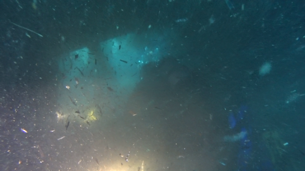 Malta | Malta 2-9.11.2021