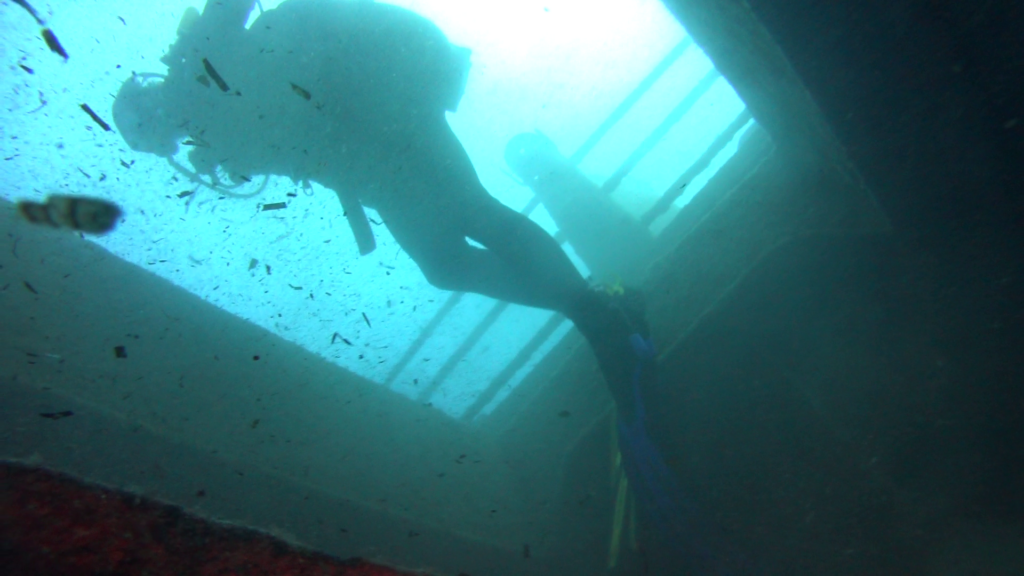 Malta | Malta 2-9.11.2021