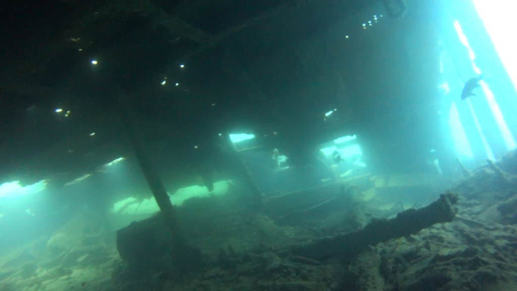 Malta | Malta 2-9.11.2021