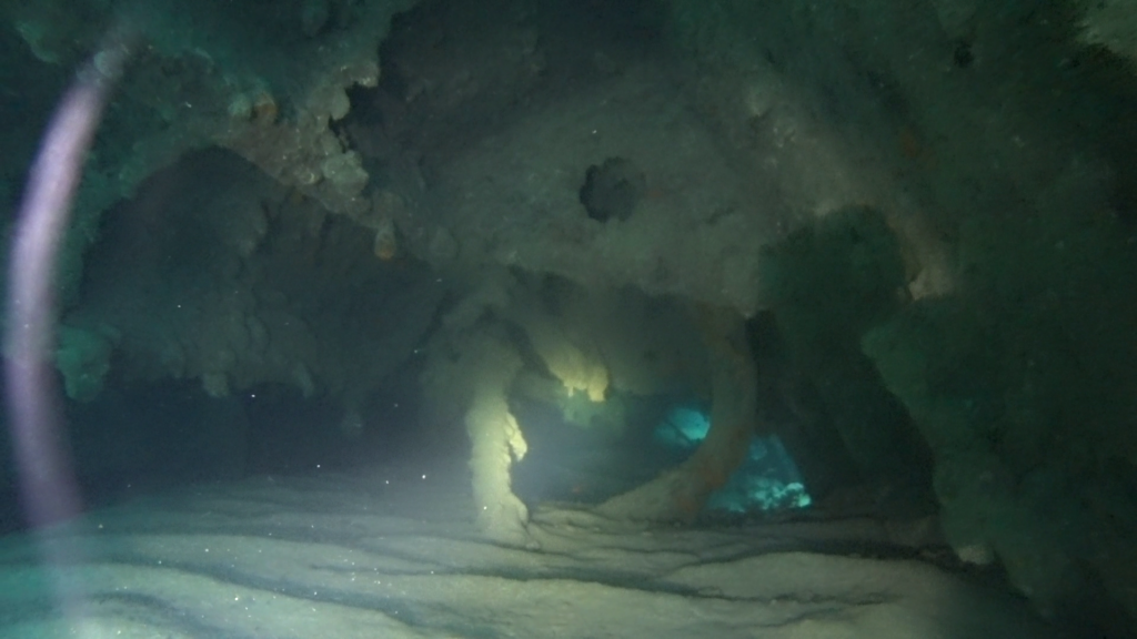 Malta | Malta 2-9.11.2021