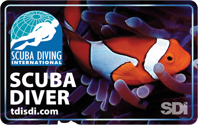 SDI - Scuba Diving International 2 Certyfikat ukończenia kursu SDI Open Water Diver.