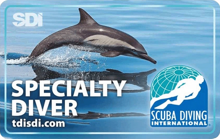 Certyfikat specjalizacji nurkowej SDI