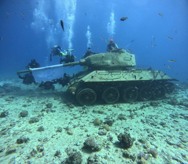 DCIM100GOPROGOPR6580