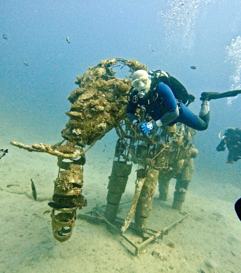 DCIM100GOPROGOPR7109