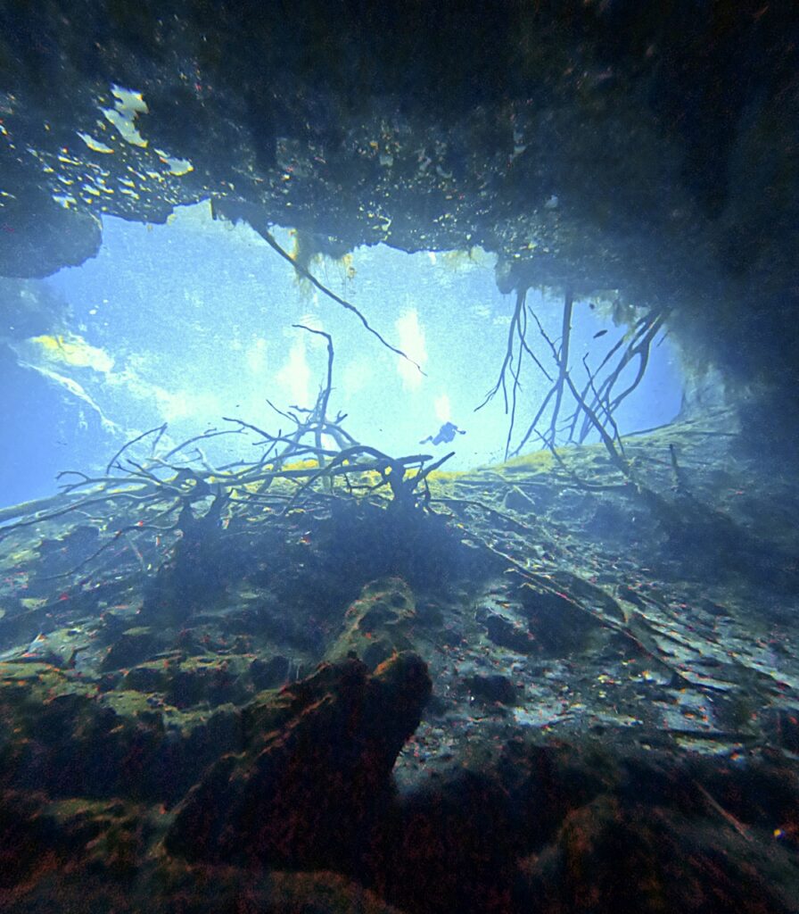 Meksyk – Mexico City, Teotihuacán i cenoty Jukatanu | relacja z podróży nurkowej 91 cenoty Meksyk nurkowanie | Meksyk – Mexico City, Teotihuacán i cenoty Jukatanu | relacja z podróży nurkowej