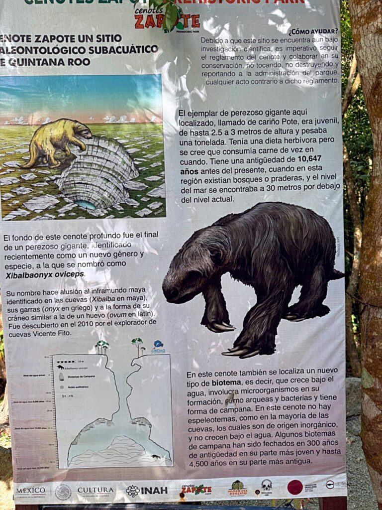 Meksyk – Mexico City, Teotihuacán i cenoty Jukatanu | relacja z podróży nurkowej 182 cenoty Meksyk nurkowanie | Meksyk – Mexico City, Teotihuacán i cenoty Jukatanu | relacja z podróży nurkowej