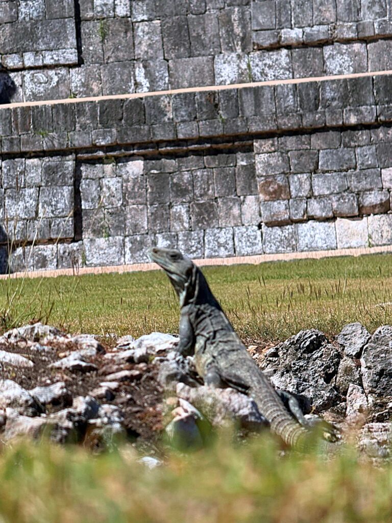 Meksyk – Mexico City, Teotihuacán i cenoty Jukatanu | relacja z podróży nurkowej 15 cenoty Meksyk nurkowanie | Meksyk – Mexico City, Teotihuacán i cenoty Jukatanu | relacja z podróży nurkowej